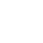 Logo Bianco SGI footer